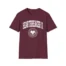 Mitski Heartbreaker University Unisex Softstyle T-Shirt Maroon